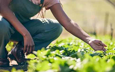 02 Cards Thumbnail 455x303